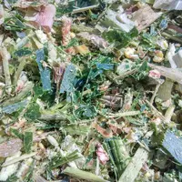 La récolte de l'ensilage de maïs en brins longs a été effectuée avec une longueur de coupe réglée à 23 millimètres.
