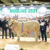 Super Prix d’Honneur Grand raceur  Sex Symbol du Gaec Micaud dans l'Allier