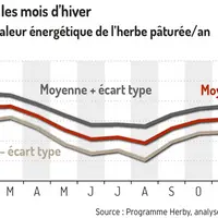 Le pâturage hivernal est une pratique d’avenir
