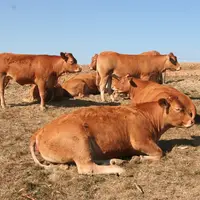 L'enquête démontre que l'adaptation au changement climatique fait appel à une grande diversité de leviers.