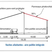 [Bâtiment photovoltaïque] Des panneaux sur le toit et une bonne ambiance pour les bovins