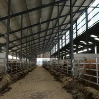 Le couloir est raclé deux fois par semaine en à peine une petite heure en remplissant environ une benne de 18 tonnes à chaque curage et surtout sans a