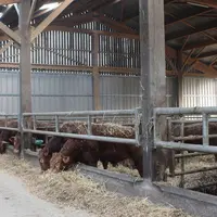 Des portails occupent entièrement les deux pignons et ils sont surmontés de bardages bois.