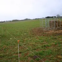 Les lots d’animaux sont conduits dans les couloirs au fil avant et fil arrière.