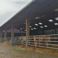 Le bâtiment accueille les animaux à l’engraissement, soit une douzaine de broutards et une douzaine de vaches en finition. « L’objectif de GMQ des bro