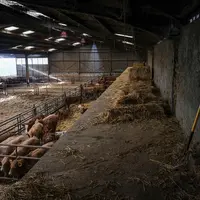 Sylvie et Pascal ont profité de la construction d’un bâtiment attenant dédié à abriter la fabrique d’aliments pour demander au prestataire de poser un