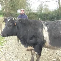 Thierry Morin éleveur en bio à Machecoul-Saint-Même en Loire-Atlantique.