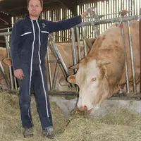 Alexis Thibault, Gaec de la Vallée des Blondes, 250 mères Blondes d’Aquitaine naisseur-engraisseur, 3 associés, à Le Busseau, dans les Deux-Sèvres