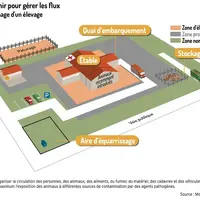 Biosécurité : empêcher les maladies de circuler