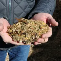 L'objectif général de cette expérimentation était de mesurer la capacité de l'hybride de la gamme Pioneer à produire une quantité de viande bovine par