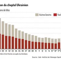 Nette contraction du cheptel bovin ukrainien depuis 25 ans