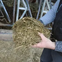 « Avec un chargement conséquent, on s’interroge sur notre système fourrager »