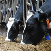 [Mg2mix] Propiopack pour améliorer la marge sur coût alimentaire