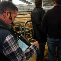 Daniel Tamalet conduit la vente avec les acheteurs hors de la présence des vendeurs qui attendent leur tour en finissant leur déjeuner.