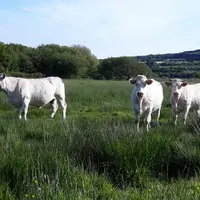 Les mesures agroenvironnementales et climatiques (Maec) surfaciques repassent sous gestion de l'État. Les régions gèrent les Maec non surfaciques.