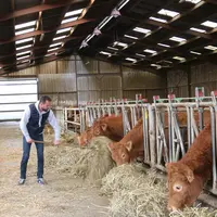 Elevage bovins viande : mieux s'organiser pour mieux vivre au travail