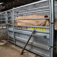Une grosse partie des interventions en ergonomie sur le département du Puy-de-Dôme concerne la contention en lien avec la diminution du volume de la m