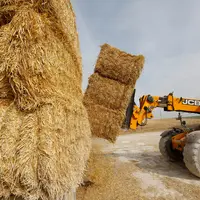 Si l’élevage d’herbivore reste le premier consommateur de la paille produite, de nouveaux usages en font un produit prisé.