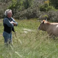 Jean-Louis Régné est éleveur d'aubracs et administrateur du GDS 66..