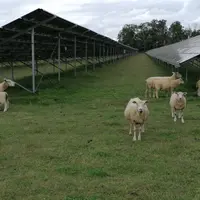La centrale du site de Verneuil dans la Nièvre occupe plusieurs parcelles pour un total de 70 hectares et une puissance de 43 MWc.