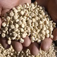 L'intérêt économique du lupin (ici), de la féverole et du pois peuvent s'approcher par le calcul de prix d'intérêt.