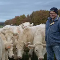 Christophe Boussand, éleveur à Vougy, fait fructifier ses 80 mères charolaises en attendant l'arrivée de son fils, âgé de 22 ans.