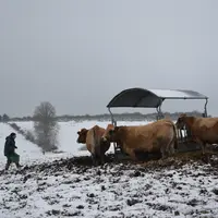 Un sous-sol granitique et un sol argilo-sableux portants et drainants permettent la conduite en plein air intégral du troupeau sur un plateau venté à