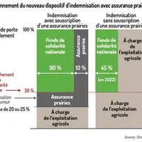 En cas de perte de rendement supérieure au seuil d’intervention (30 % pour les prairies), l’État apportera une couverture universelle. Elle sera major