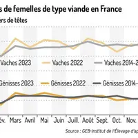 L’offre débute l’année 2023 à un niveau bas