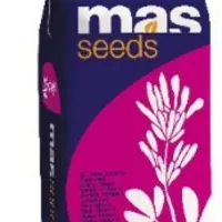 © MAS Seeds