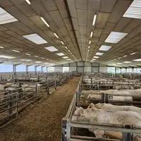 Les bâtiments ont été construits avec une belle hauteur sous plafond de façon à accueillir un maximum de lumière. L'ambiance dans les locaux est ainsi