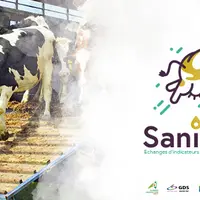 Sanibov : une application pour sécuriser les échanges commerciaux de bovins