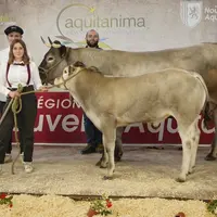 Le prix de championnat 2023 a été attribué à la vache adulte Laure suitée de trésor, appartenant à Isabelle Pécriaux, basée dans les Hautes-Pyrénées.
