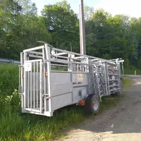 Les éleveurs de la Cuma des trois granges dans le Cantal se sont équipés d'un couloir de contention de 7 mètres réglable, de la marque Satene, avec un