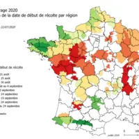 carte Arvalis estimation date de début de récolte du maïs ensilage