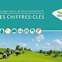 Institut de l'Elevage élevage bovin et environnement