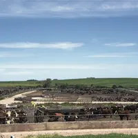 Selon un rapport de l’Institut de l'élevage publié en octobre 2022, 27 % des pesticides utilisés par les éleveurs brésiliens sont strictement interdit