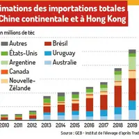 graph importations de viande bovine en Chine