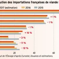 graphique Evolution des importations françaises de viande bovine