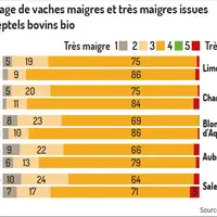 graph finition vaches de réforme bio