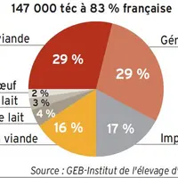 graph origine de la viande bovine vendue en boucherie traditionnelle en 2017