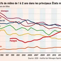 graphique Effectifs de mâles de 1 à 2 ans dans les principaux Etats membres
