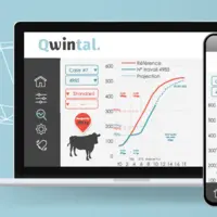 Qwintal GMQ Live pesée en continu des bovins