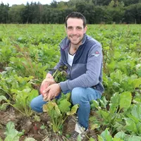 éleveur dans un champ de betteraves fourragères
