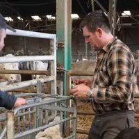 Les étudiants vétérinaires issus du milieu rural sont de moins en moins nombreux.