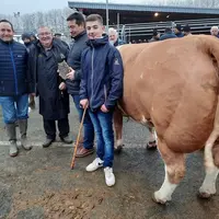 concours d'animaux de boucherie de haute qualité Noël