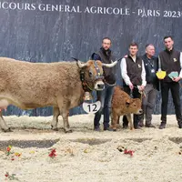 concours général agricole race Aubrac salon de l'agriculture