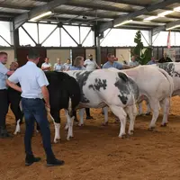 concours national blanc bleu