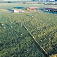 ferme expérimentale Arvalis à Saint-Hilaire-en-Woëvre