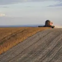 soja au Brésil